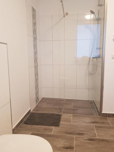 a shower with a glass door in a bathroom at Appartement "Orchidee" in Hoya