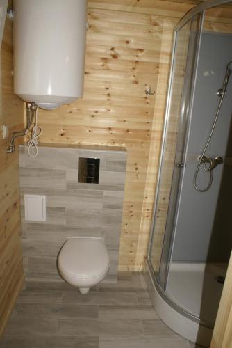 a bathroom with a toilet and a shower at DIUNA Domki Letniskowe in Pobierowo