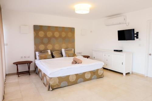 ein Schlafzimmer mit einem großen Bett und einem TV in der Unterkunft Villa Daniela heated pool וילה דניאלה בריכה מחוממת in Eilat