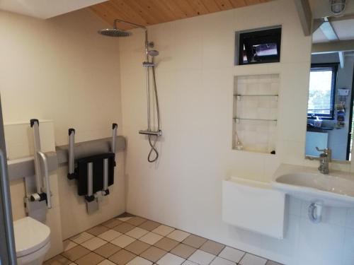 ein Bad mit einem Waschbecken und einem WC in der Unterkunft De Zes Wielen in Alkmaar