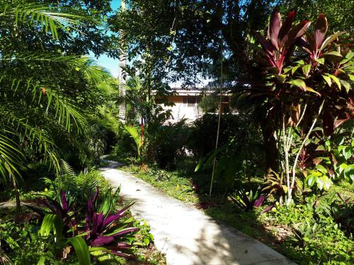 a path through a garden with trees and plants at Playa Bluff Lodge in Bocas del Toro