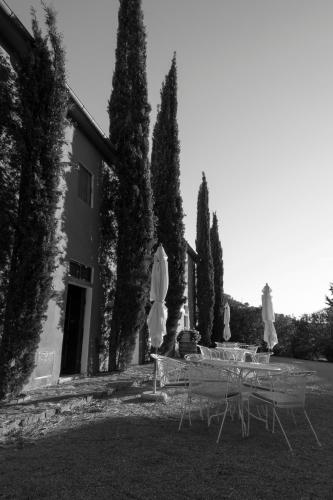 Φωτογραφία από το άλμπουμ του Tenuta Col di Sasso σε Scarlino
