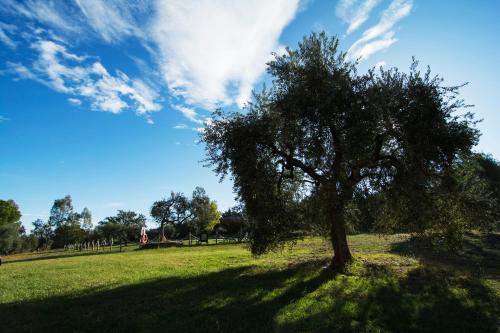 Φυσικό τοπίο κοντά σε αυτή η εξοχική κατοικία