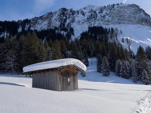 a small wooden building in the snow with a mountain at Ferienhaus Carmen in Grän