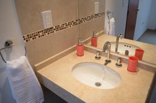 a bathroom counter with a sink and a mirror at Cactus 1 in Salta