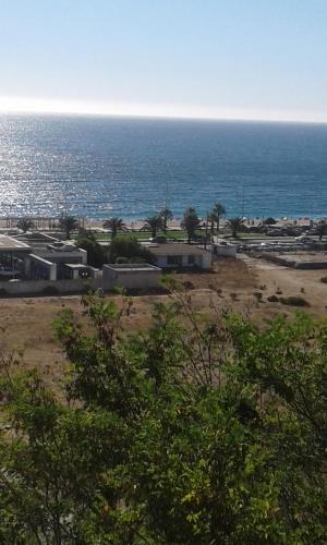 vistas a una playa con el océano en el fondo en Coraceros Apartment, en Viña del Mar