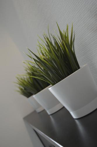 Fotografie z fotogalerie ubytování Residentie Paola v Ostende