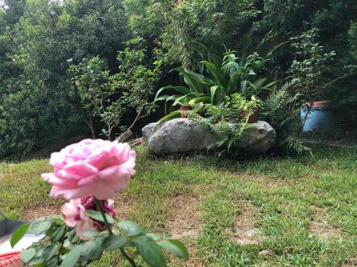 Jardín al aire libre en 樹之間民宿 樟間 櫸間