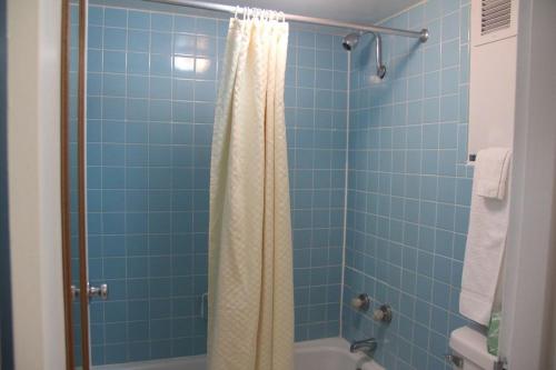 a bathroom with a blue tiled shower with a shower curtain at Norfolk Country Inn and Suites in Norfolk