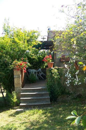 Piccolo Sole – Photos 5