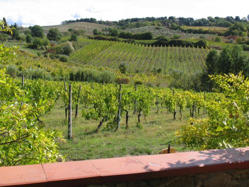 Piccolo Sole – Photos 3