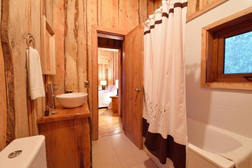 a bathroom with a toilet and a sink and a tub at Huilo Huilo Cabañas del Bosque in Huilo Huilo