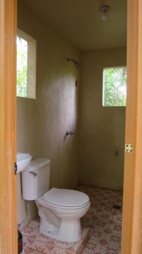 a bathroom with a white toilet and two windows at Lazy Lizard Hostel in Siquijor