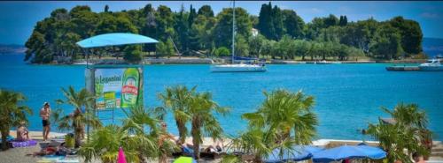 a beach with palm trees and a large body of water at Apartments Rena & Filip, by the beach in Preko