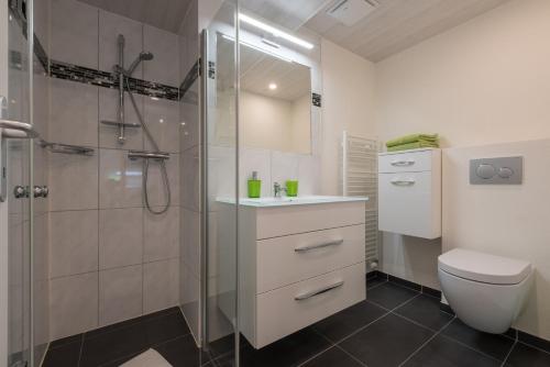 a bathroom with a shower and a toilet and a sink at Haus Bergsonne in Saas-Almagell
