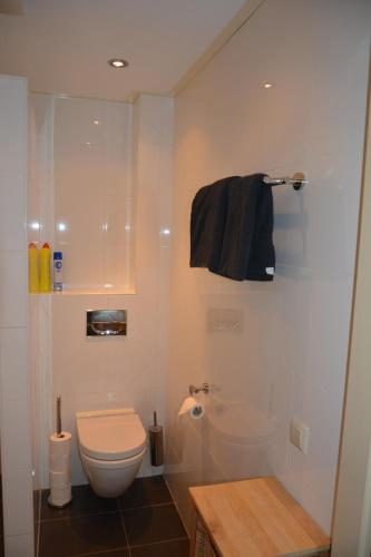 a white bathroom with a toilet and a shower at Appartement Derde Zandwijkje in Hollandscheveld