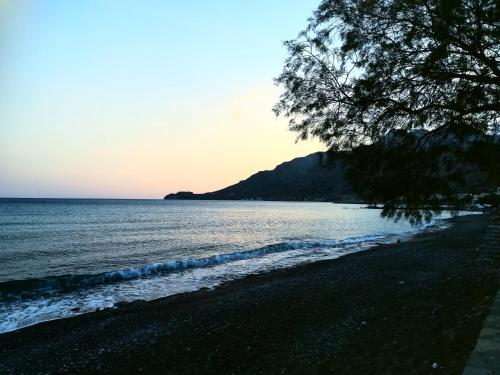 a beach with a tree and the ocean at Orionas in Tsoútsouros