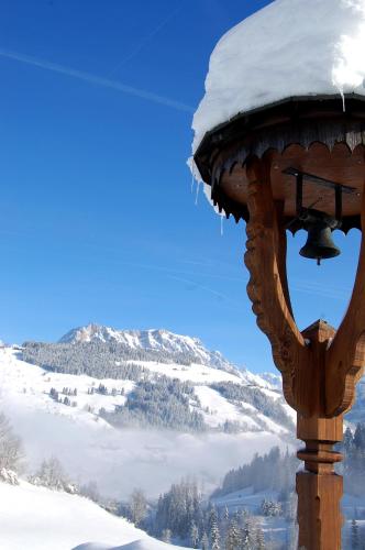 a light pole with snow on top of a mountain at Hinterjetzbachhof in Maria Alm am Steinernen Meer