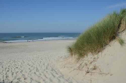 une plage de sable avec de l'herbe au-dessus dans l'établissement Fletcher Resort-Hotel Amelander Kaap, à Hollum