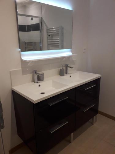 une salle de bain avec un lavabo et un miroir dans l'établissement Hamac et potager Gîte et chambre d'hôtes, à La Chapelle-de-Bragny