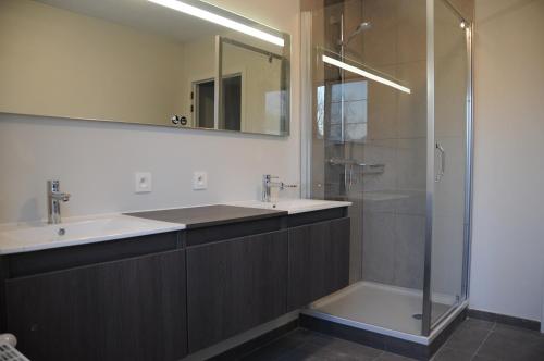 een badkamer met een douche, een wastafel en een spiegel bij Villa KARIN in Oostduinkerke