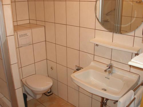 a small bathroom with a toilet and a sink at Ferienhof Hoppe in Wildewiese