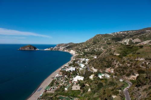 an aerial view of a beach and the ocean at Boutique House Fiò in Ischia