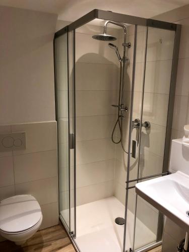 a shower with a toilet and a sink in a bathroom at Panoramaresidenz Blindau in Reit im Winkl