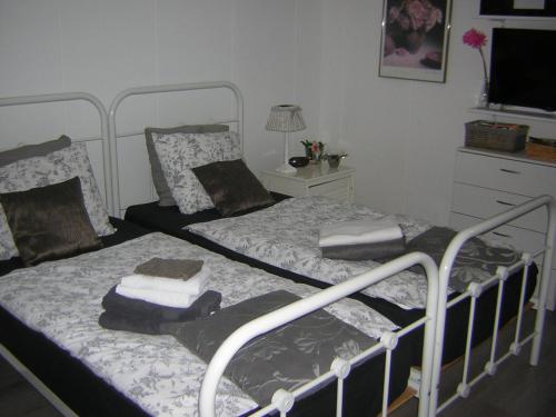 Sint Pancras的住宿－Prive tuinhuis B&B Elly，卧室设有两张单人床和电视。