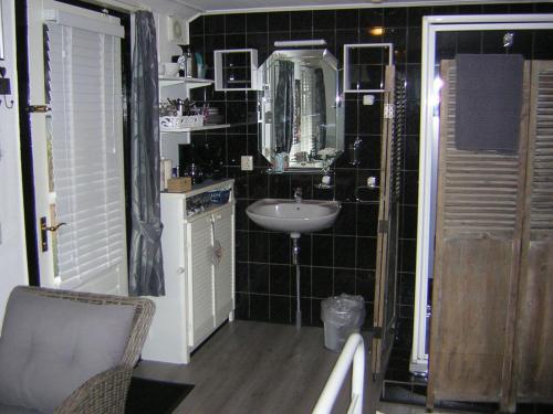 een kleine badkamer met een wastafel en een spiegel bij Prive tuinhuis B&B Elly in Sint Pancras