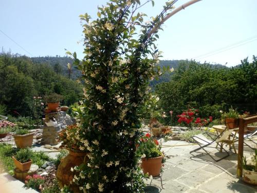 Jardín al aire libre en Affittacamere Graziella