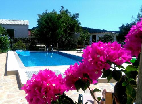 a bunch of pink flowers next to a swimming pool at Evan's Studios in Alykes