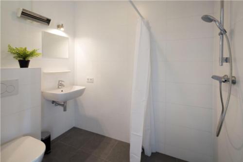 een badkamer met een toilet, een wastafel en een douche bij Onderlandhuis 38 in Chaam