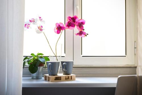 Fotografie z fotogalerie ubytování Dulcis In Fundo b&b v Římě