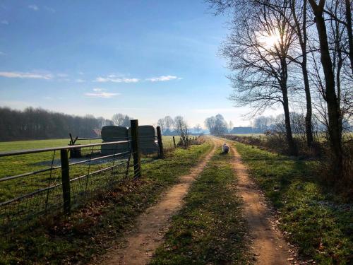 a dirt road in a field with a fence at B&B Zandhuizen in Zandhuizen