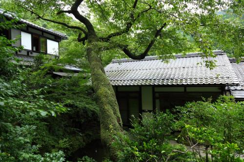 a tree in front of a house at Kyo no Minshuku Ohara no Sato in Kyoto
