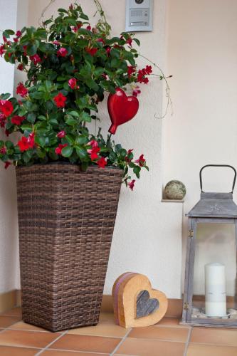 a plant in a wicker basket with a red flower at Haus Steinbock in Neustift im Stubaital