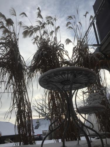 a chair with plants in front of a building at Chez Sven - Studio 'Le Grand' in Lohn-Ammannsegg