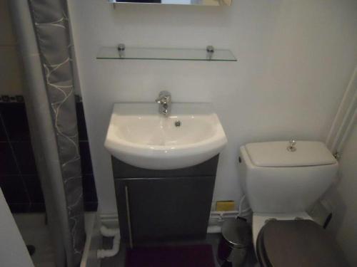 a bathroom with a white sink and a toilet at La Forêt 5 in Mimizan-Plage