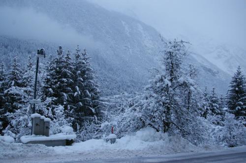 a snow covered road with trees and a mountain at Thalerhof in Roppen