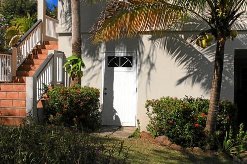 a white door of a house with a palm tree at CosyNest in Basse Terre Town