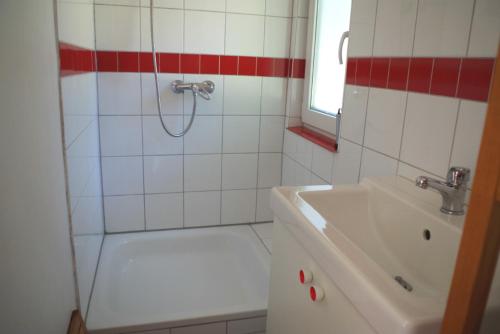 W łazience znajduje się prysznic i umywalka. w obiekcie Haus Silke am See w mieście Groß Köris