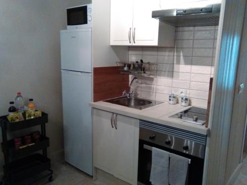 eine kleine Küche mit Spüle und Kühlschrank in der Unterkunft Apartamento Romántico in Valencia