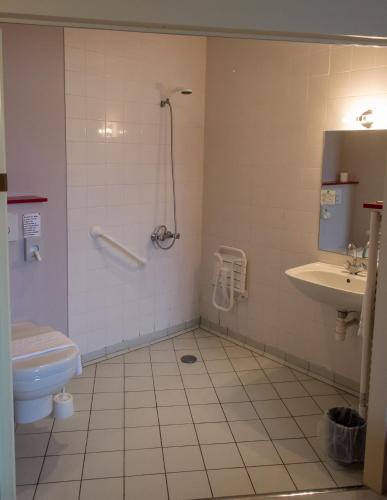 une salle de bain avec toilettes et lavabo dans l'établissement Hôtel Le Grand Chêne, à Gièvres