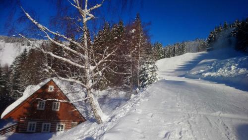 a house covered in snow next to a tree at Kajzrovka in Rokytnice nad Jizerou