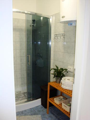 a shower with a glass door in a bathroom at Apartments Olea in Pinezici