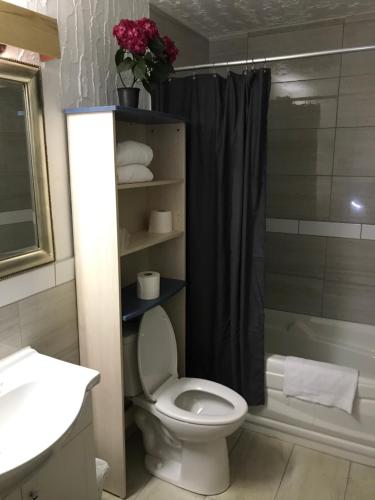 a bathroom with a toilet and a sink and a shower at Motel la Siesta de Gascon in Terrebonne