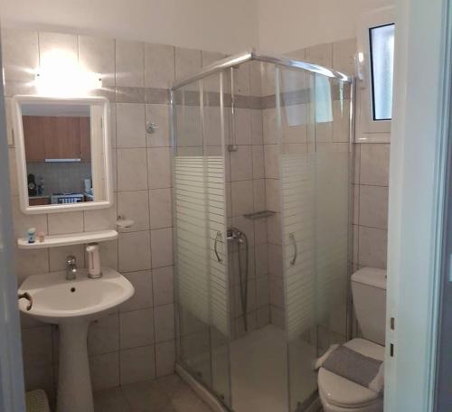 a bathroom with a shower and a sink and a toilet at Rania Apartments in Agios Nikitas