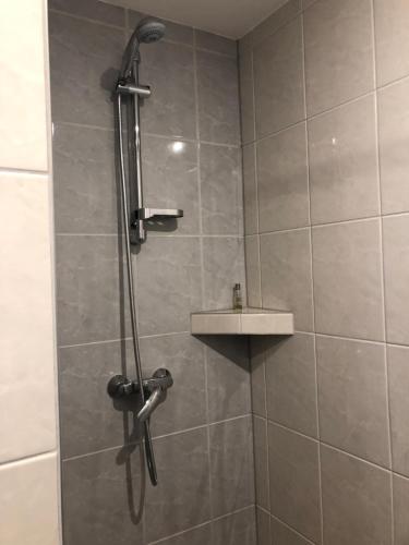 eine Dusche mit Duschkopf im Bad in der Unterkunft Mountain View Apartment in Štôla