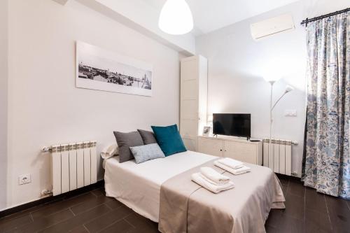 a bedroom with a bed and a tv in it at 1 habitación Apartamento in Madrid